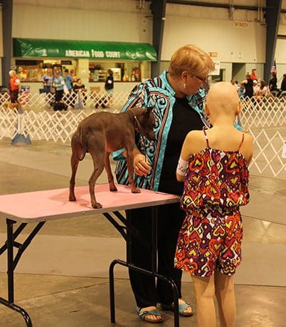 A woman and man standing next to a dog on top of a table.